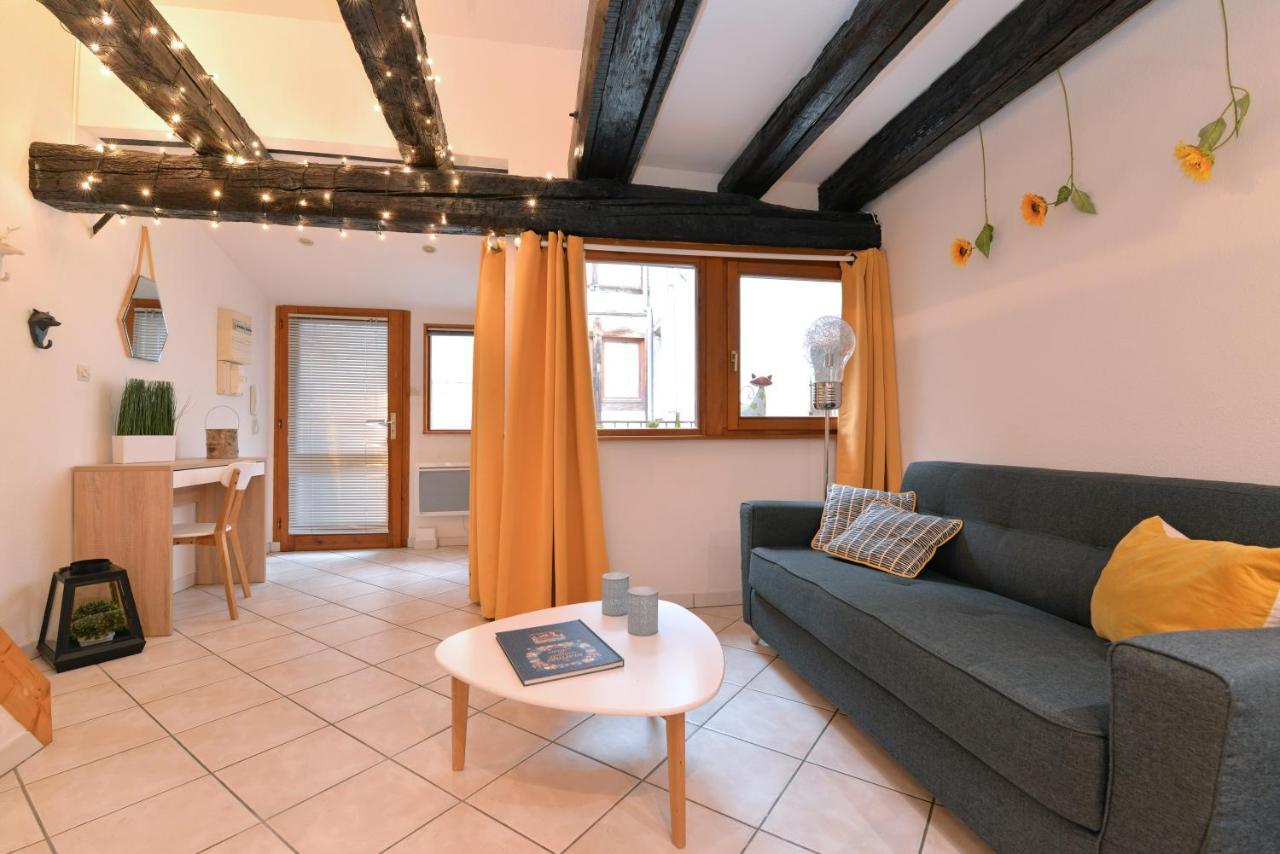 Appartement La Terrasse Sur Cour กอลมาร์ ภายนอก รูปภาพ
