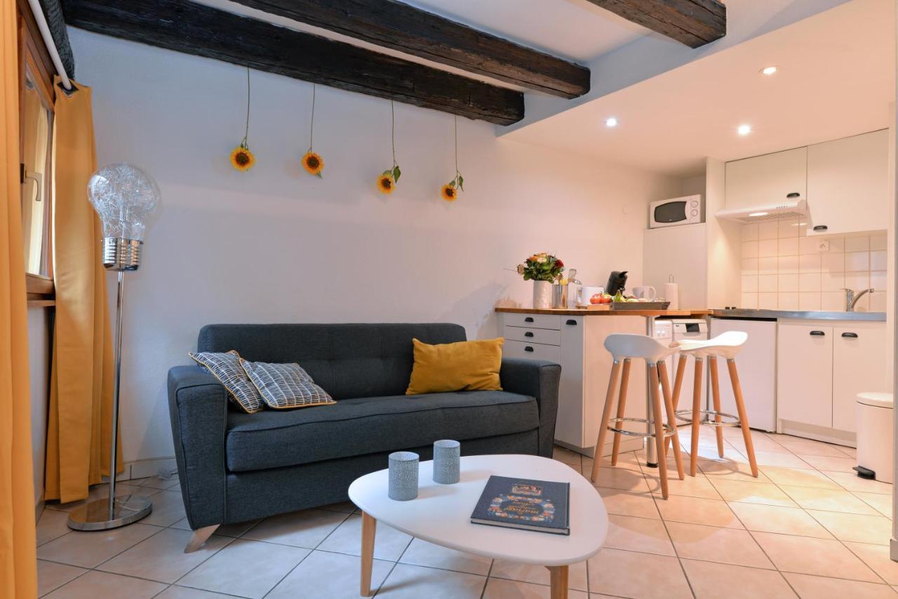 Appartement La Terrasse Sur Cour กอลมาร์ ภายนอก รูปภาพ